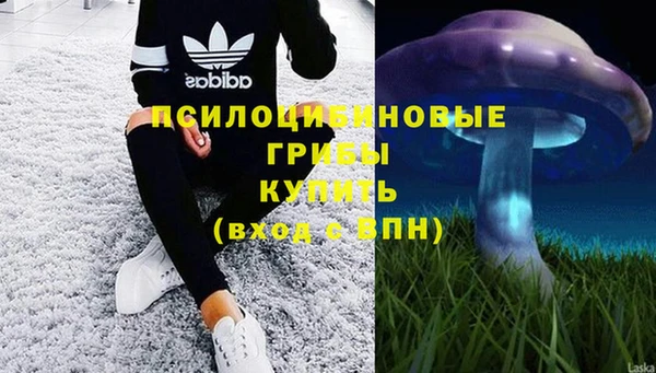 МДПВ Алексин