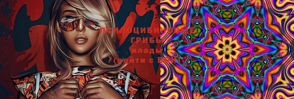 МДПВ Алексин